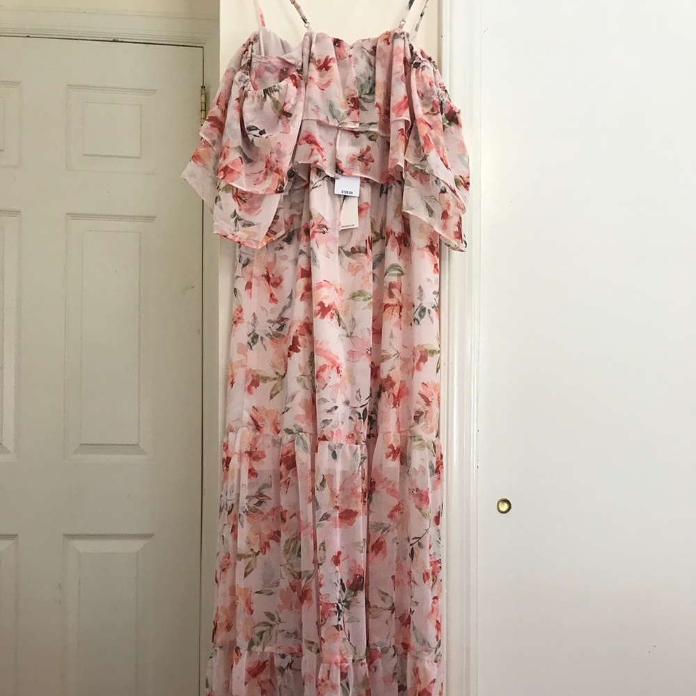 BB Dakota Blush Floral dress